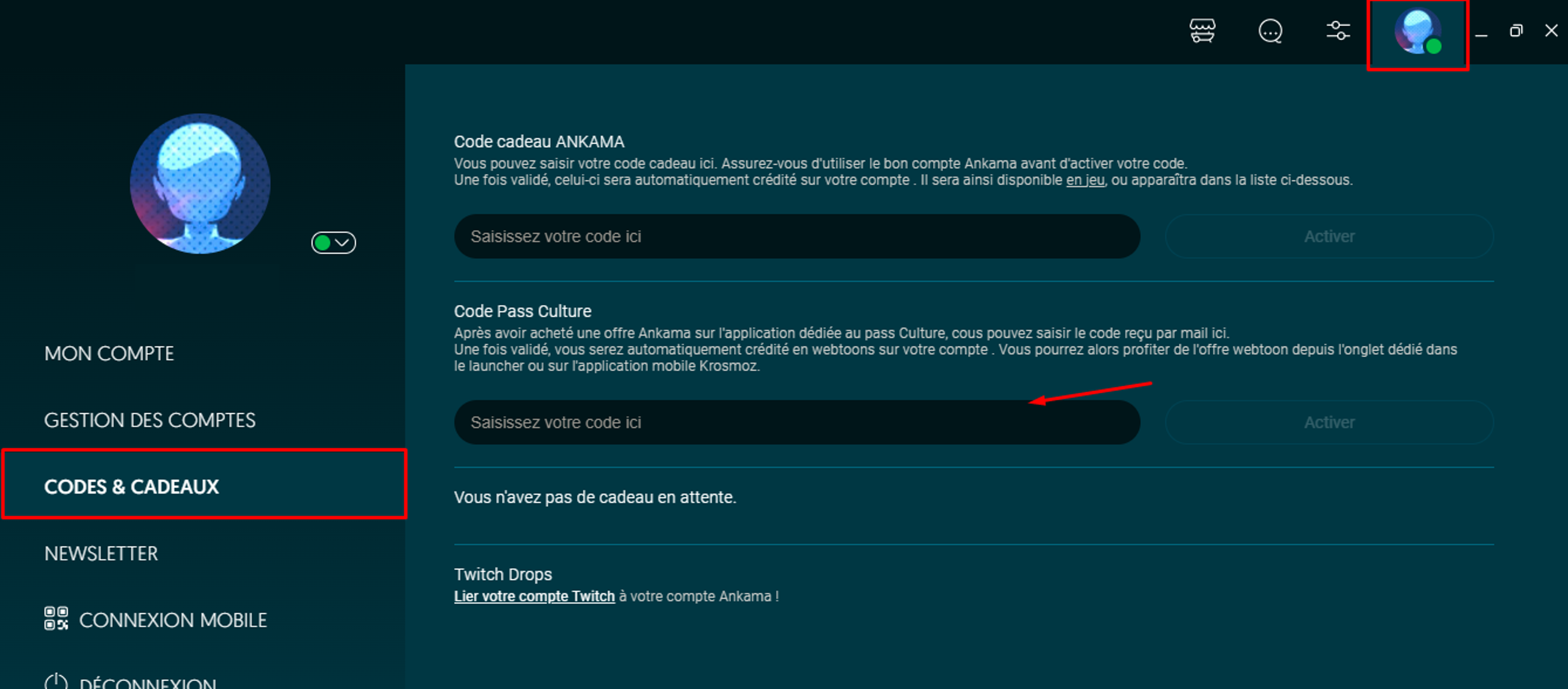 Pass_Culture_-_Code_cadeaux_-_Launcher.png